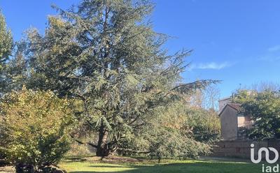 Local commercial - 130 m²