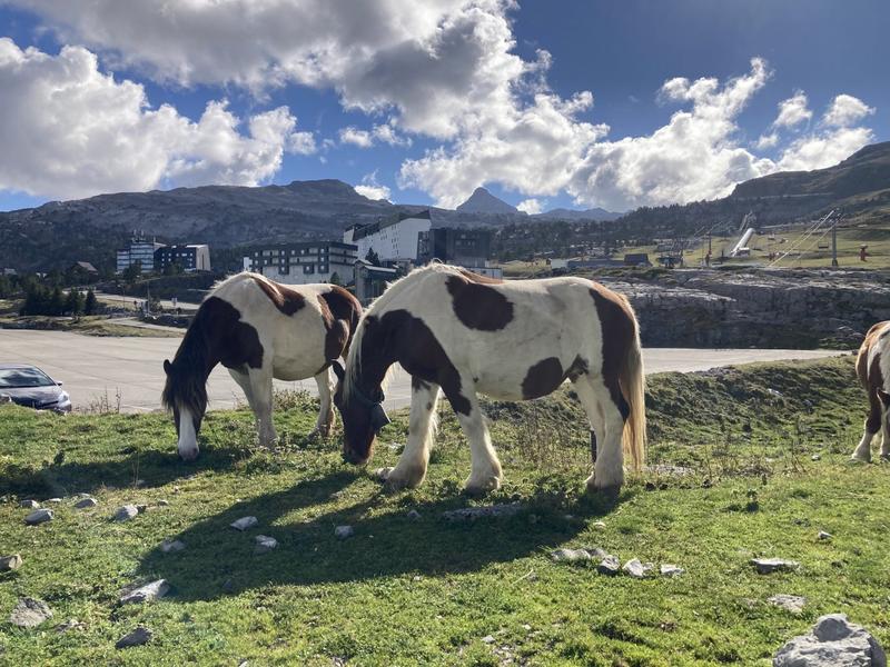 Appartement - 21 m² - 1 pièce