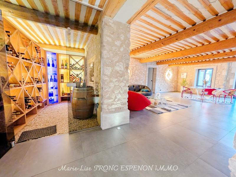 Mas - 471 m² - 15 pièces