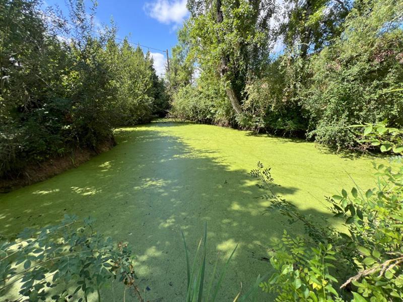 Corps de ferme - 300 m² - 7 pièces
