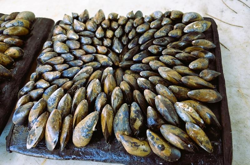 Fonds de commerce - 237 m²