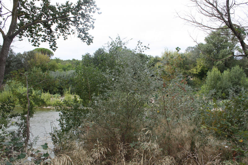 Maison de village - 92 m² - 5 pièces