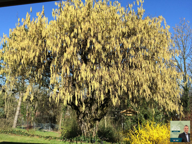 Maison - 240 m² - 5 pièces