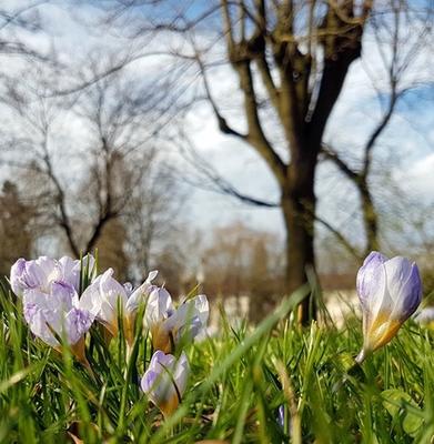 Visite guidée de Metz - flânerie