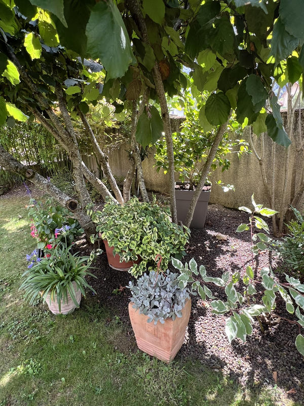 Villa - 135 m² - 5 pièces