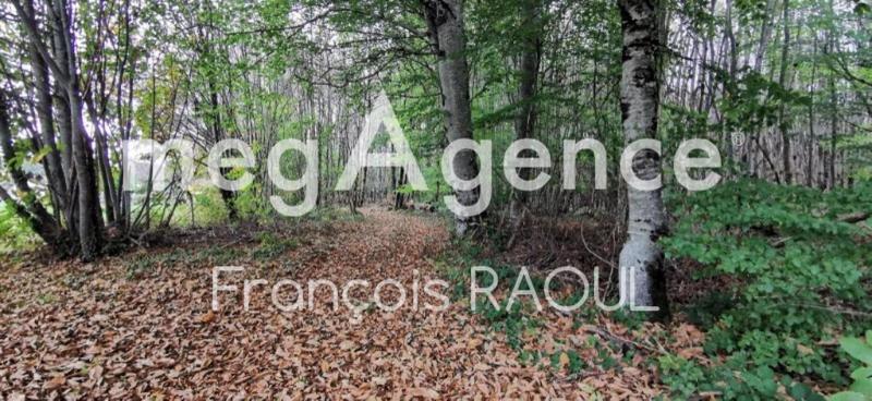 Terrain constructible - 3 832 m²