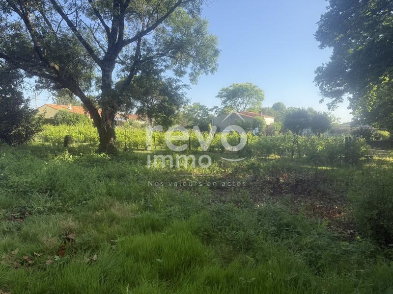 Terrain constructible - 1 134 m²