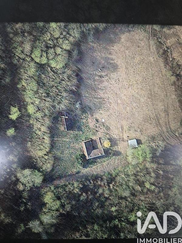 Terrain - 137 452 m²