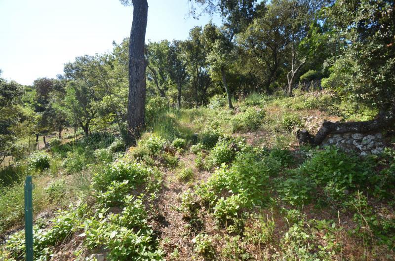 Terrain constructible - 953 m²