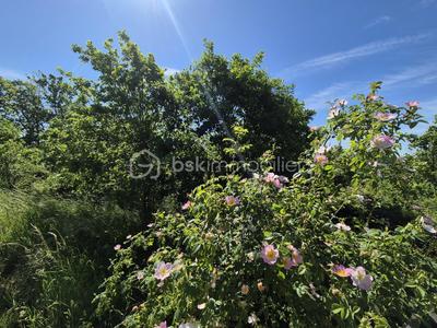 Terrain - 26 139 m²