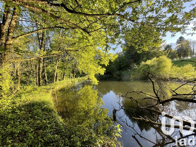 Terrain - 54 604 m²