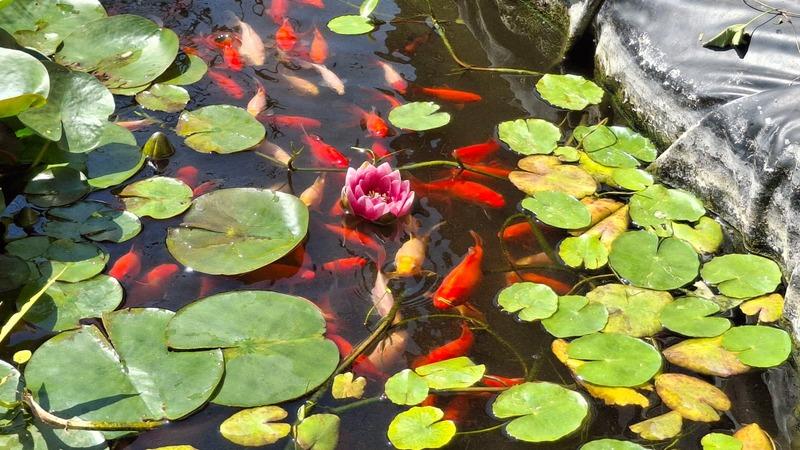 Maison - 211 m² - 7 pièces