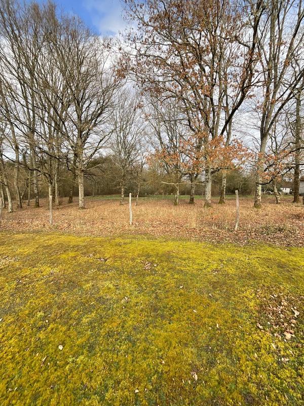 Local commercial - 150 m² - 2 pièces