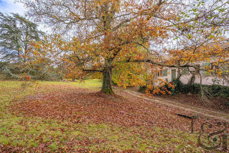 Maison - 160 m² - 4 pièces