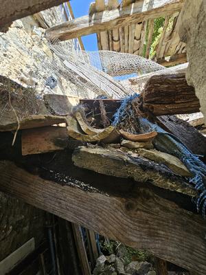 Terrain - 76 779 m²