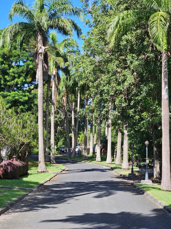 Studio - 41 m² - 1 pièce