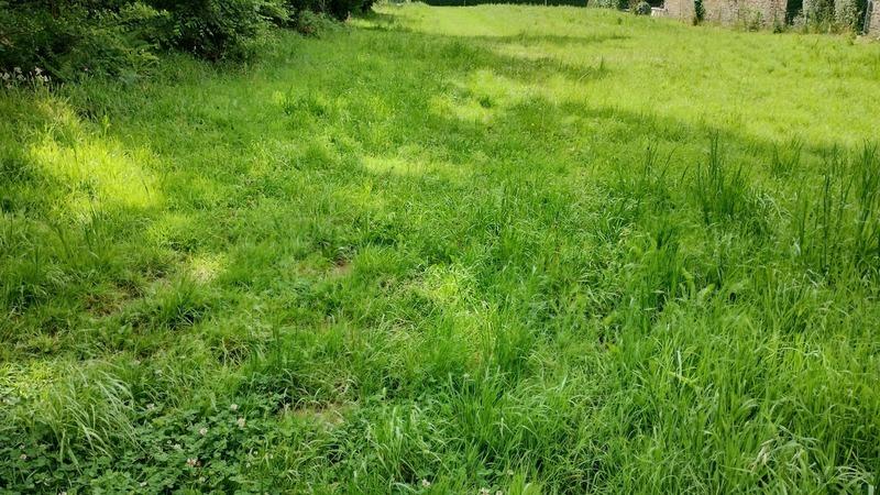 Terrain constructible - 1 593 m²