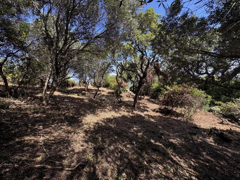 Terrain constructible - 1 490 m²