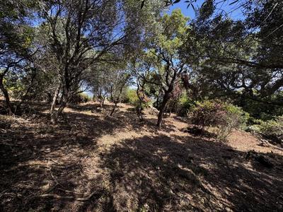 Terrain constructible - 1 490 m²