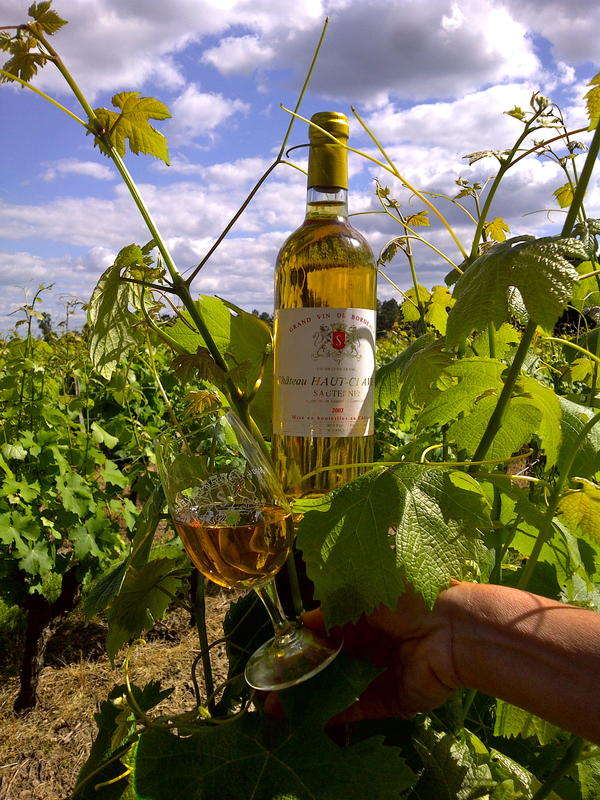 Pâques en vignes au Château Haut- Claverie