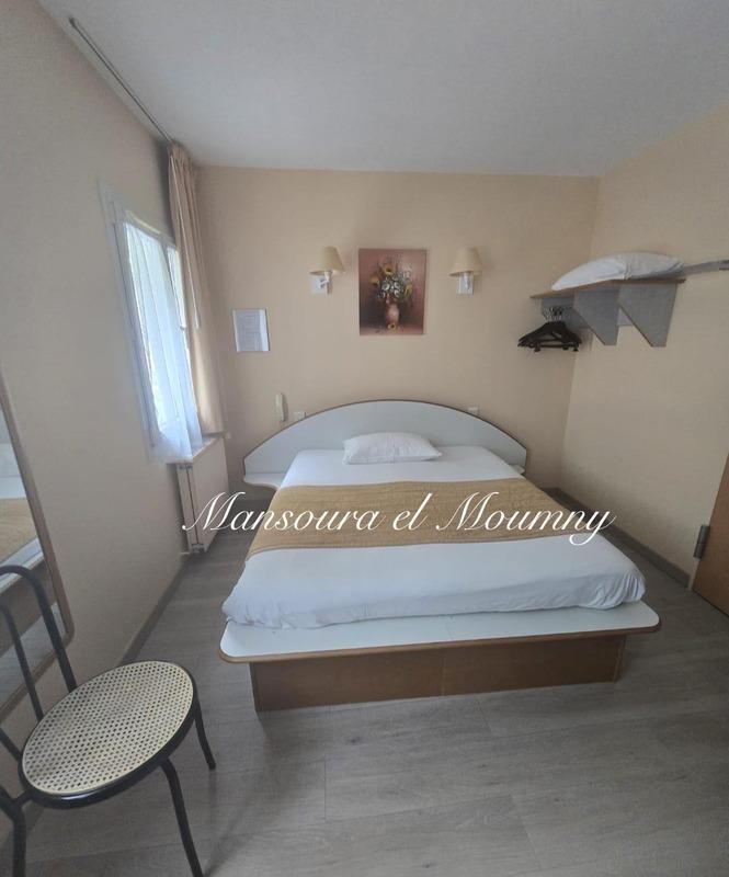 Hôtel particulier - 600 m² - 25 pièces