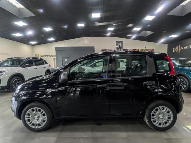 Fiat Panda 1.0 70 ch Hybrid Bsg s/S City