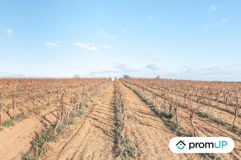 Terrain agricole - 57 000 m²