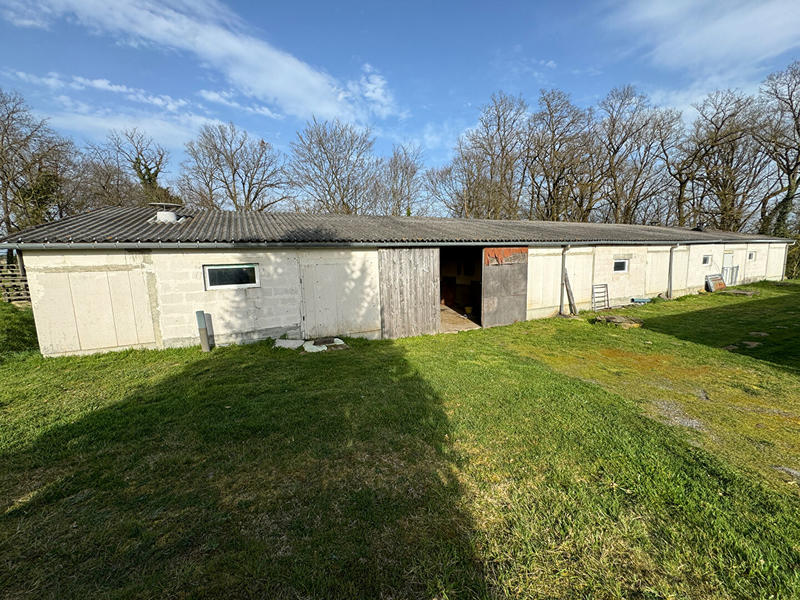 Local d'activité / Entrepôt - 4 518 m²