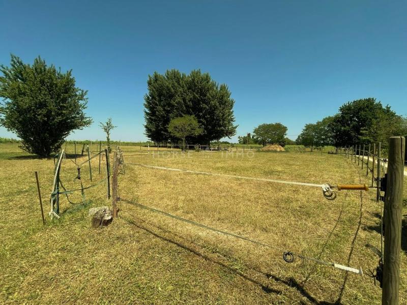 Maison de domaine équestre - 205 m² - 5 pièces