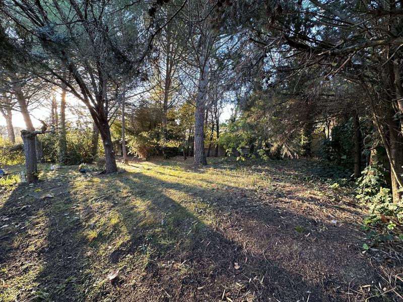 Terrain - 450 m²