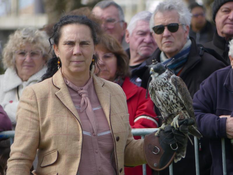 Fête des rapaces et "Spectacle de fauconnerie" à Terres d'Oiseaux
