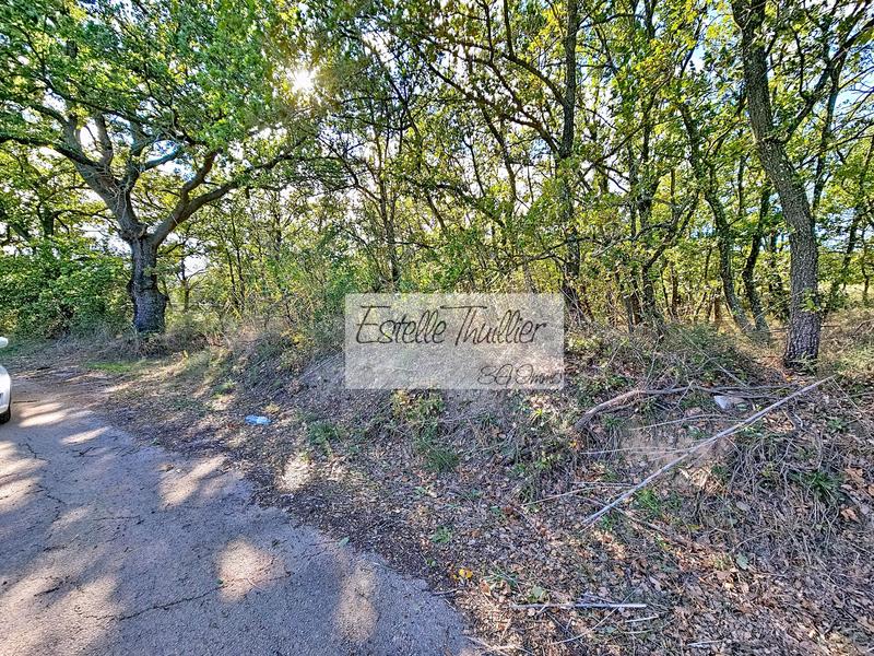 Terrain agricole - 7 799 m²