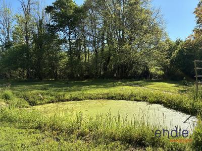 Terrain constructible - 7 195 m²