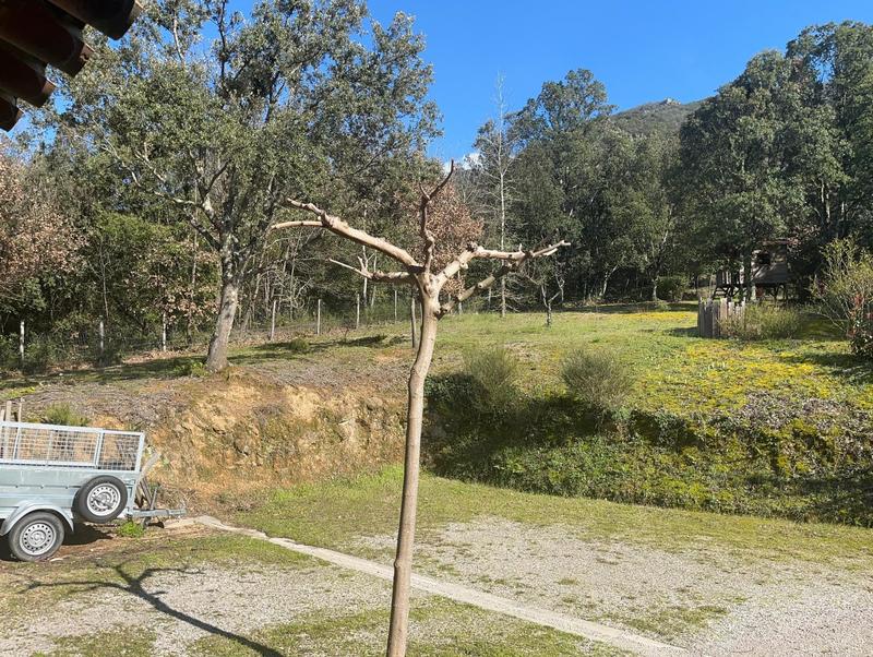 Maison - 266 m² - 9 pièces