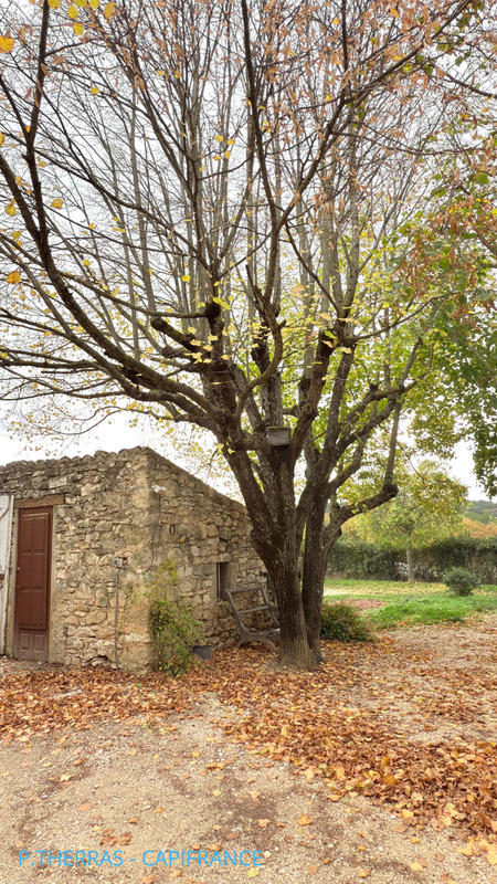 Maison de campagne - 107 m² - 5 pièces