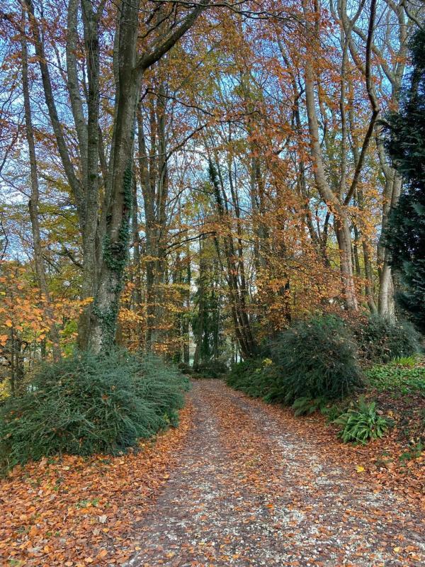 Demeure - 350 m² - 10 pièces