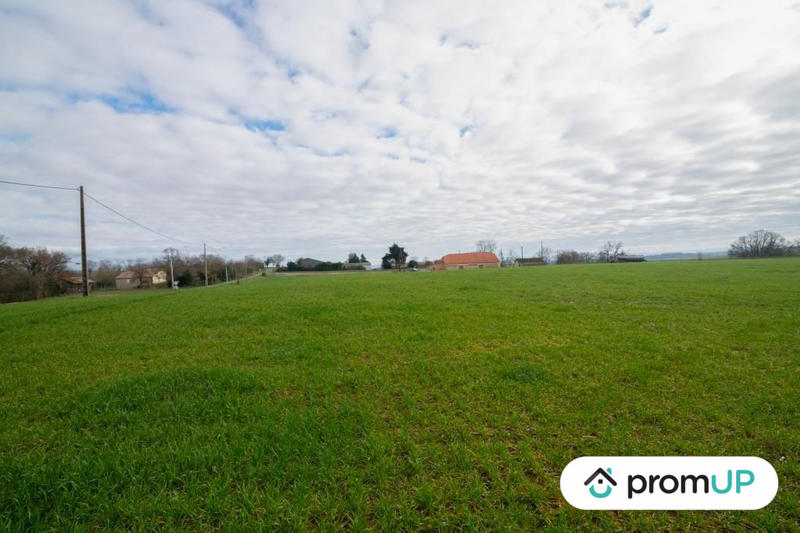 Terrain agricole - 8 000 m²
