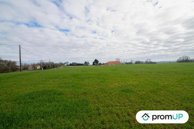 Terrain agricole - 8 000 m²