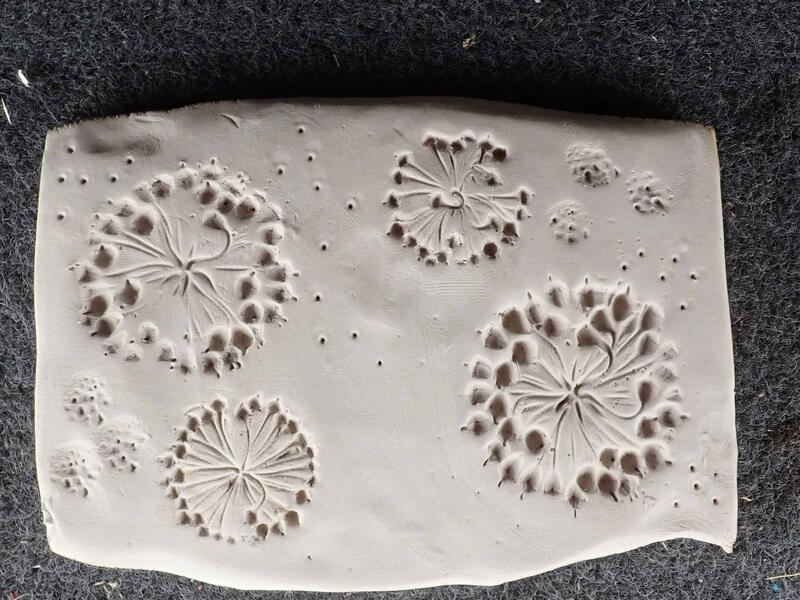 Empreintes végétales sur argile