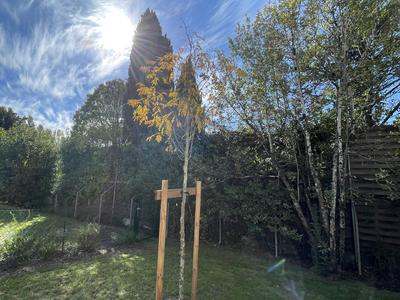 Appartement - 87 m² - 4 pièces