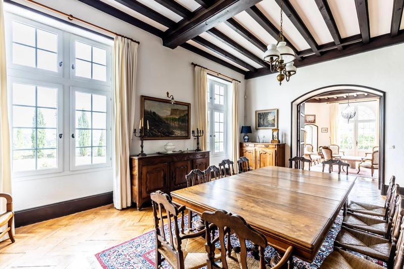 Château - 600 m² - 12 pièces