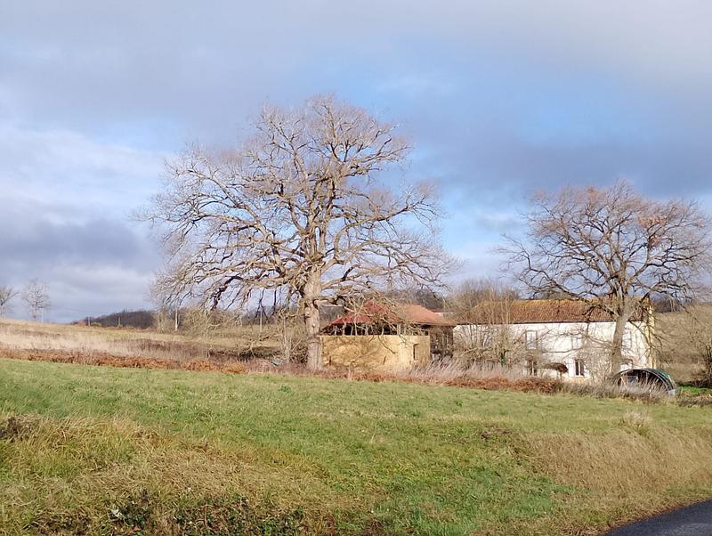 Maison - 213 m² - 7 pièces