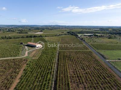 Maison - 400 m² - 1 pièce