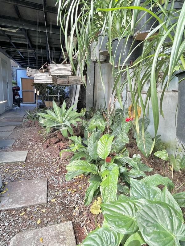 Maison - 150 m² - 3 pièces