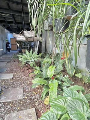 Maison - 150 m² - 3 pièces