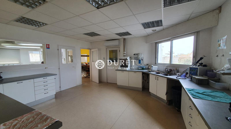 Bureau - 181 m²