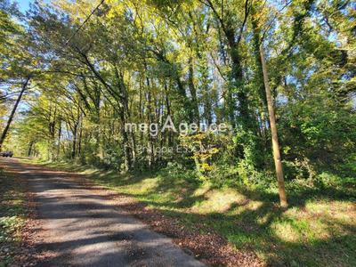 Terrain de loisirs - 1 968 m²