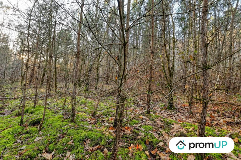 Terrain de loisirs - 1 595 m²