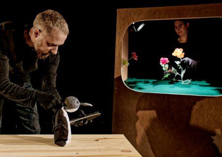 Mercredi c'est spectacle : Märchenwald - la forêt des contes