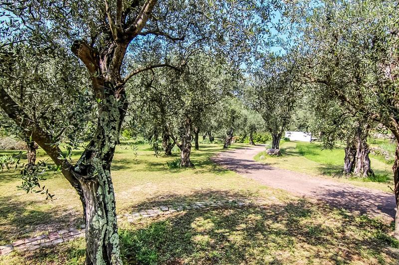 Maison - 260 m² - 11 pièces